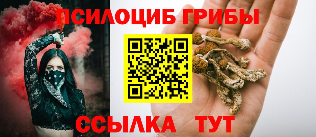 Галлюциногенные грибы Psilocybine cubensis Сарапул